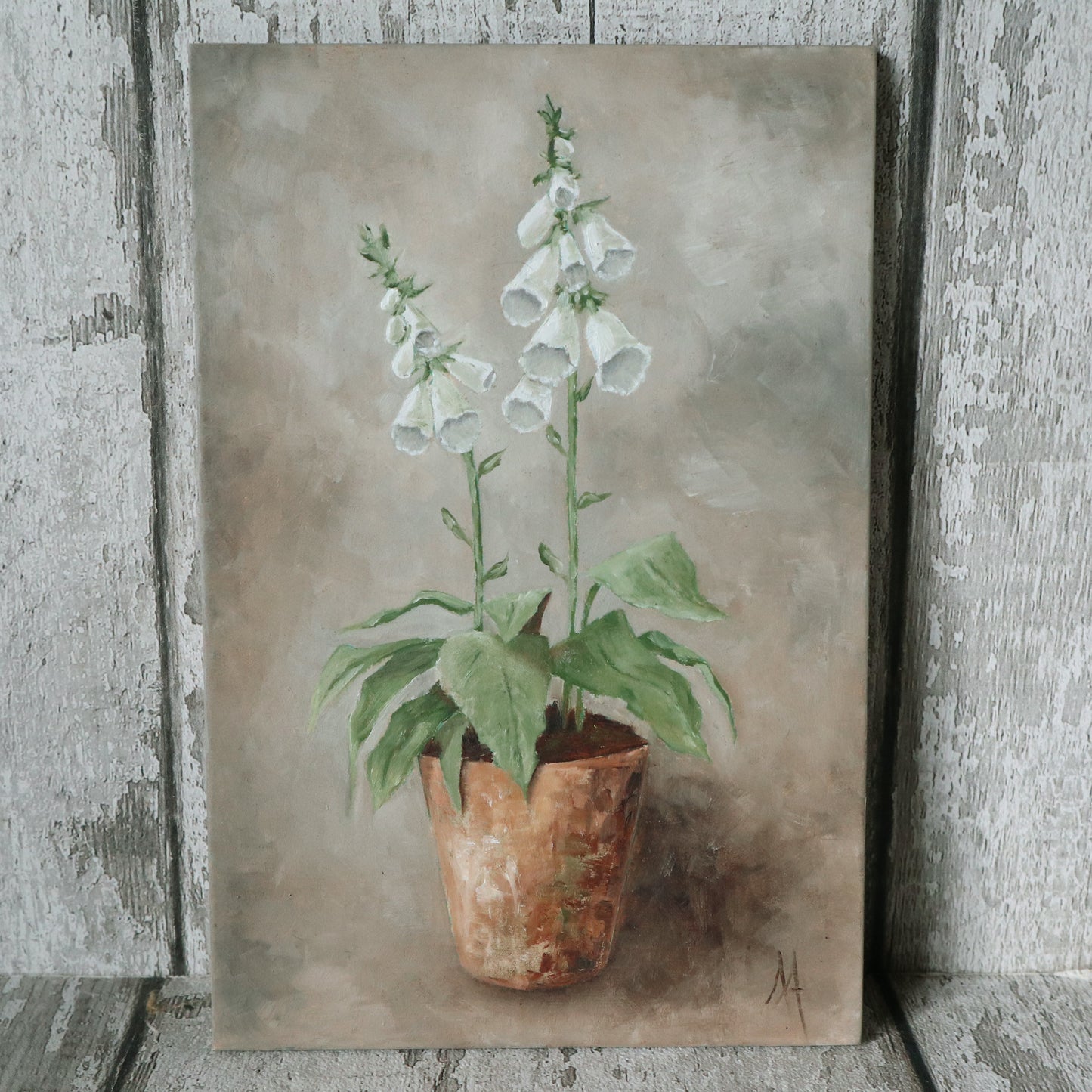 Original Oil Painting On Board From the Potted Floral Collection 'Mini WHITE Foxglove'