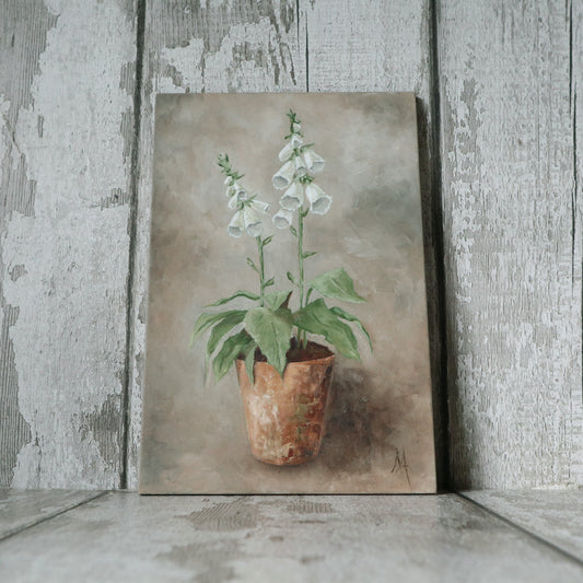 Original Oil Painting On Board From the Potted Floral Collection 'Mini WHITE Foxglove'