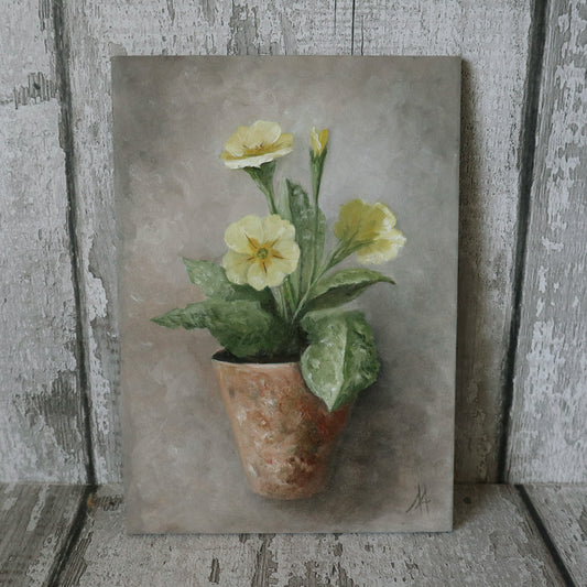 Original Oil Painting From The Potted Floral Collection ' Primroses'