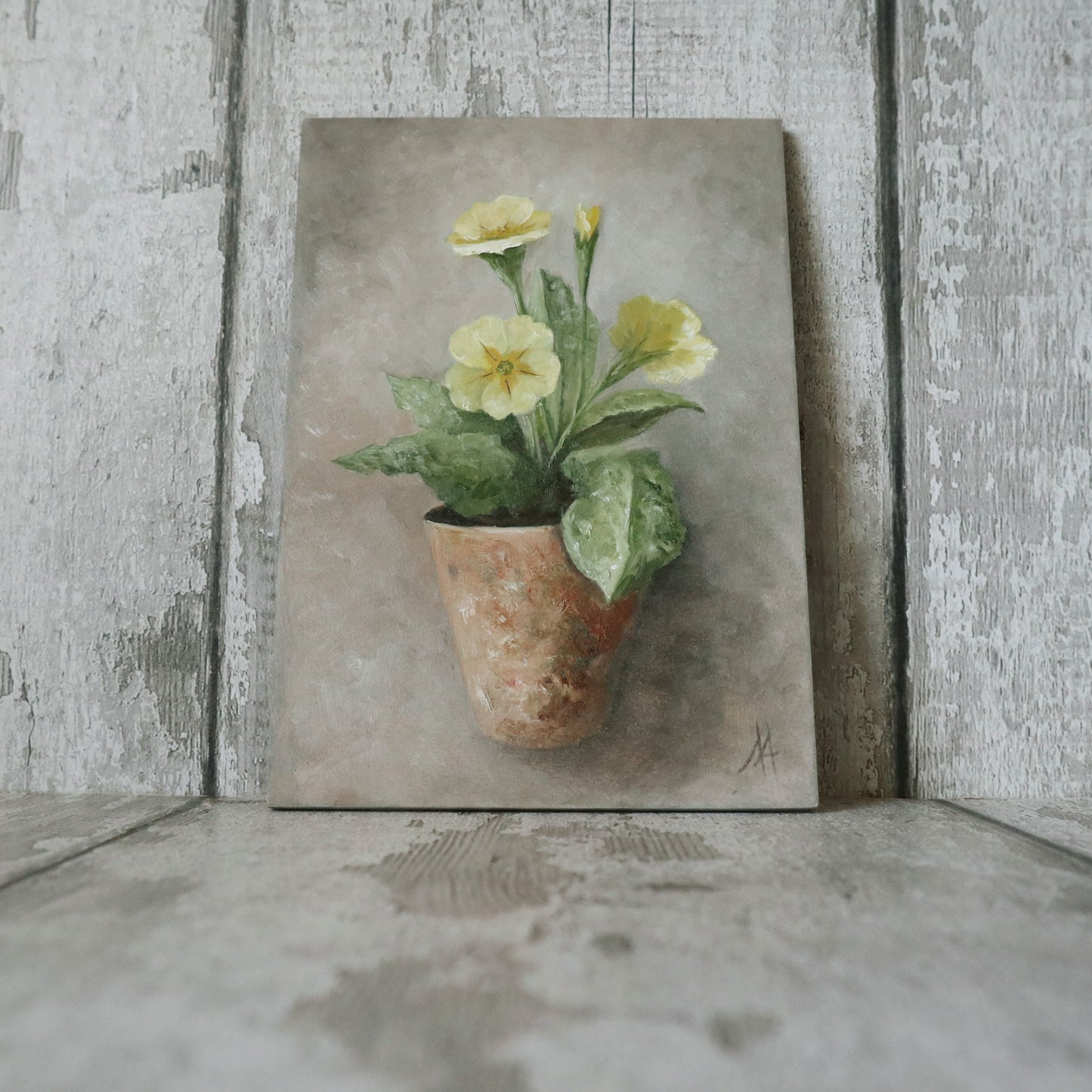 Original Oil Painting From The Potted Floral Collection ' Primroses'