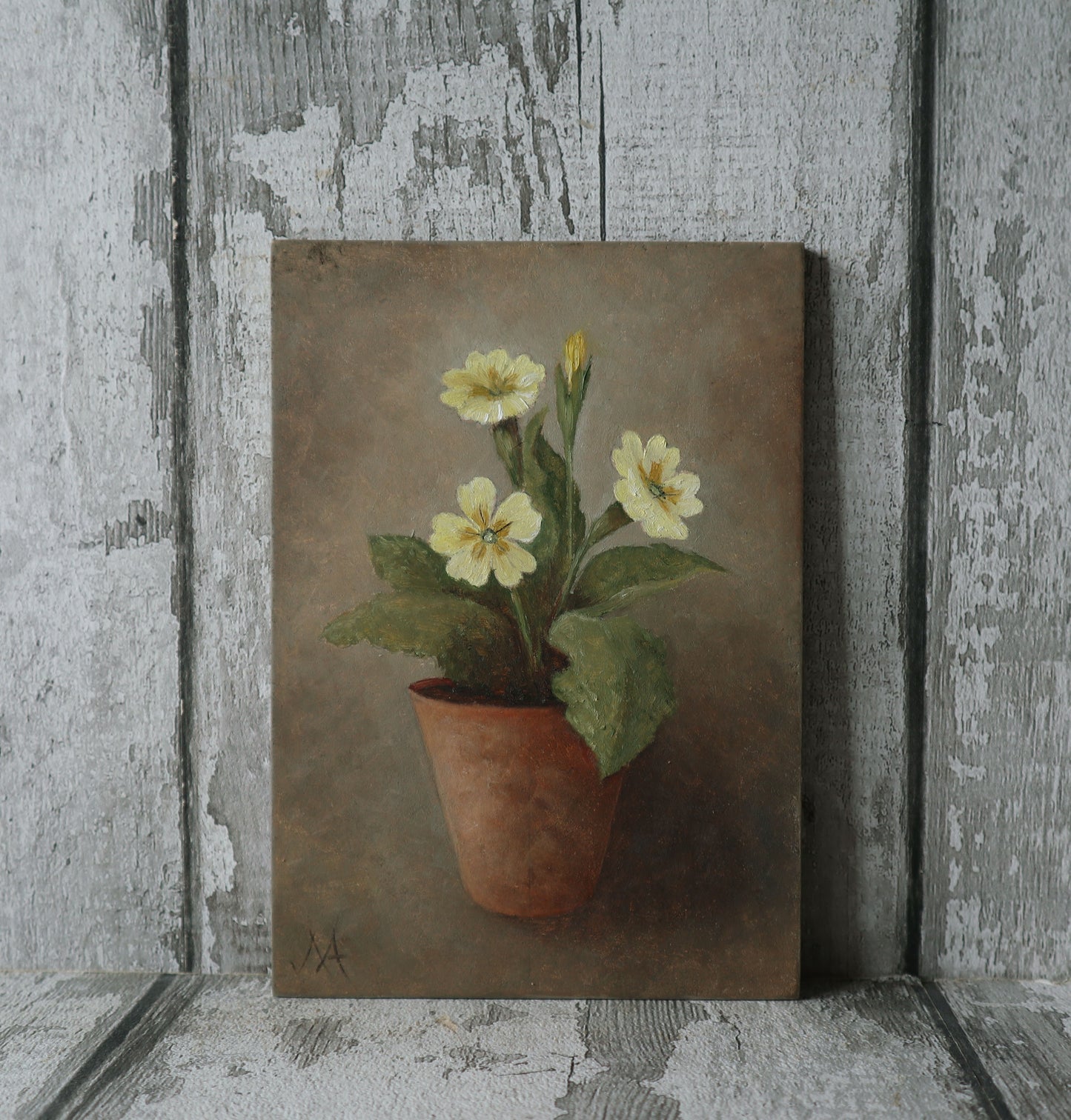 Original Oil Painting From The Potted Floral Collection ' Primroses'