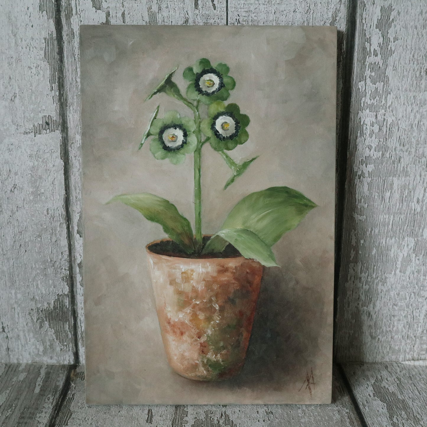 Original Oil Painting On Board From The Potted Floral Collection ' Auricula'