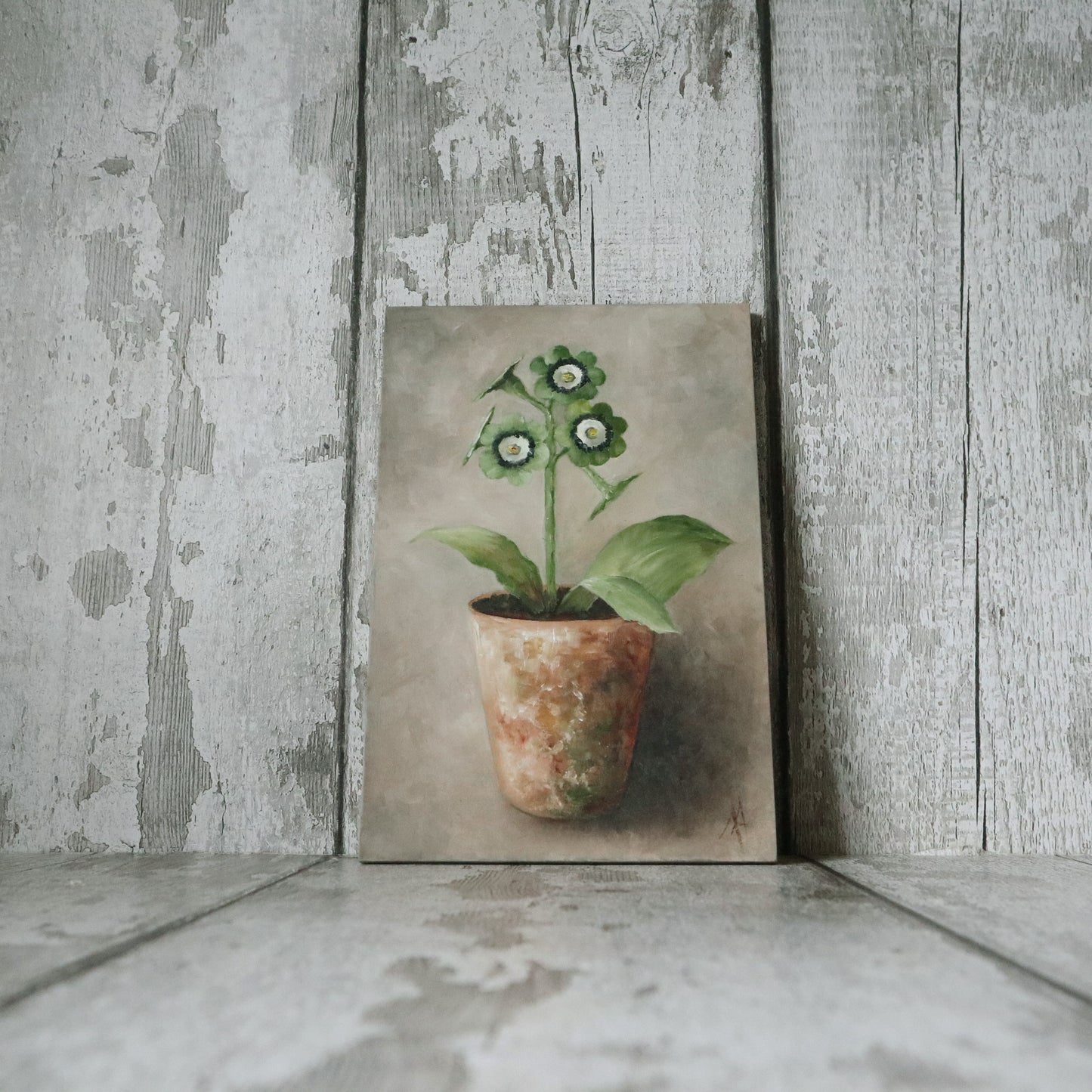 Original Oil Painting On Board From The Potted Floral Collection ' Auricula'
