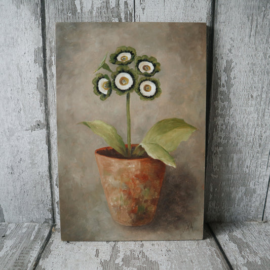 Original Oil Painting On Board From The Potted Floral Collection ' Auricula'