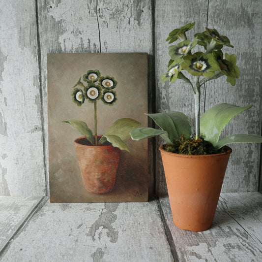 Original Oil Painting On Board From The Potted Floral Collection ' Auricula'
