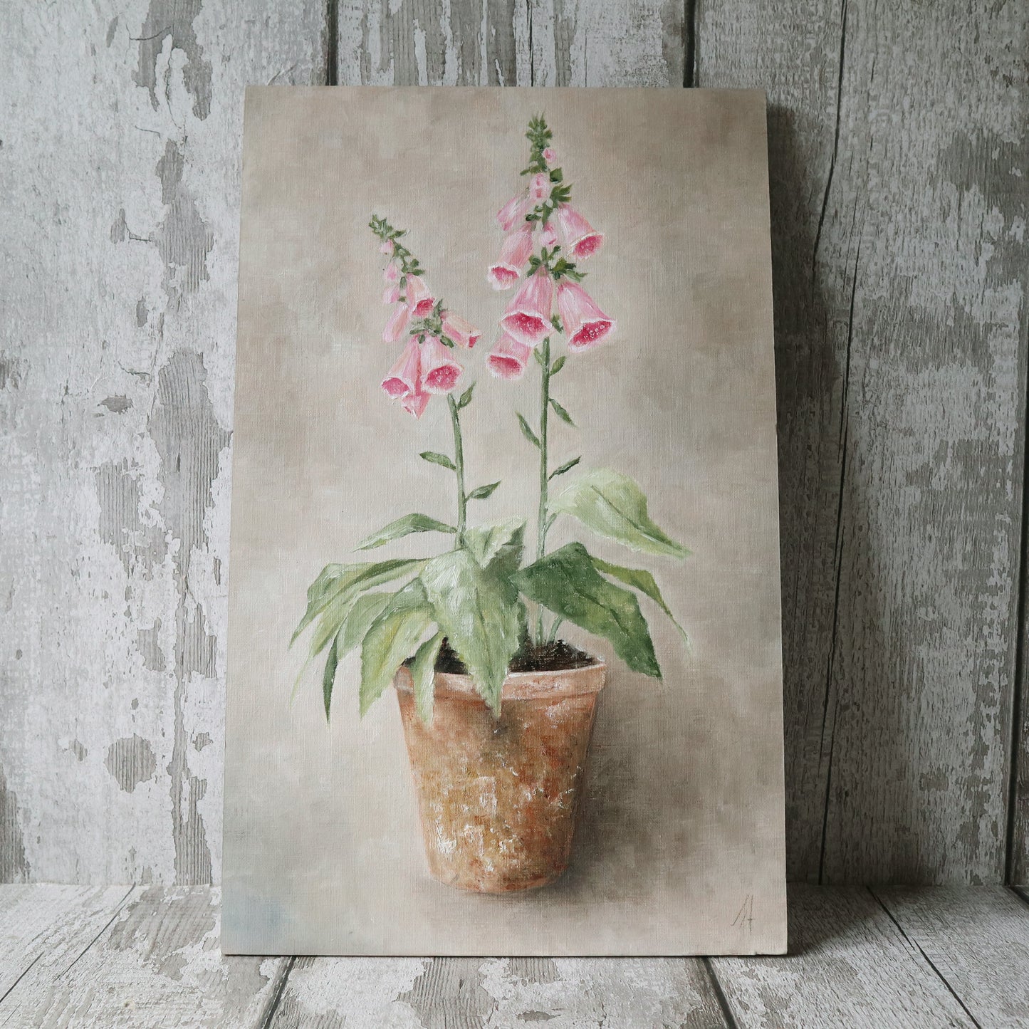 Original Oil Painting From the Potted Floral Collection 'Large Pink Foxglove'