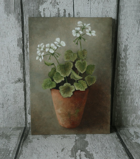 Original Oil Painting From The Potted Floral Collection 'White Geranium'