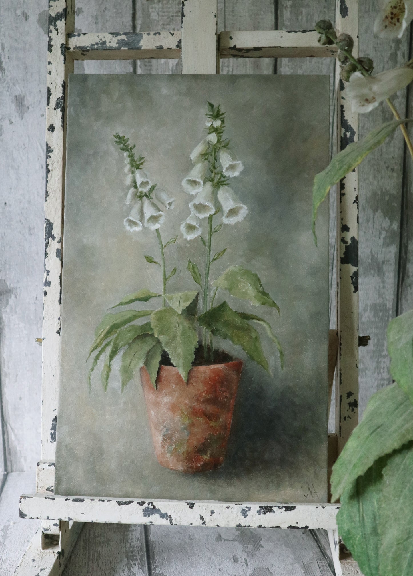 Original Oil Painting From the Potted Floral Collection 'Large White Foxglove'