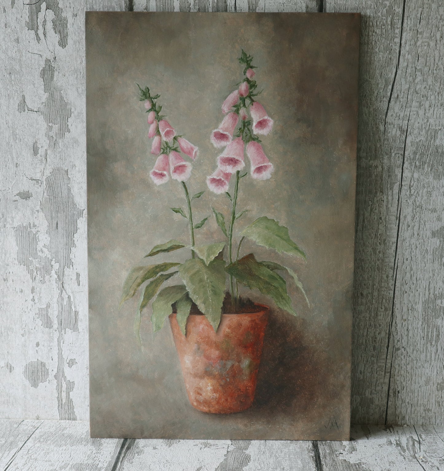 Original Oil Painting From the Potted Floral Collection 'Large Pink Foxglove'