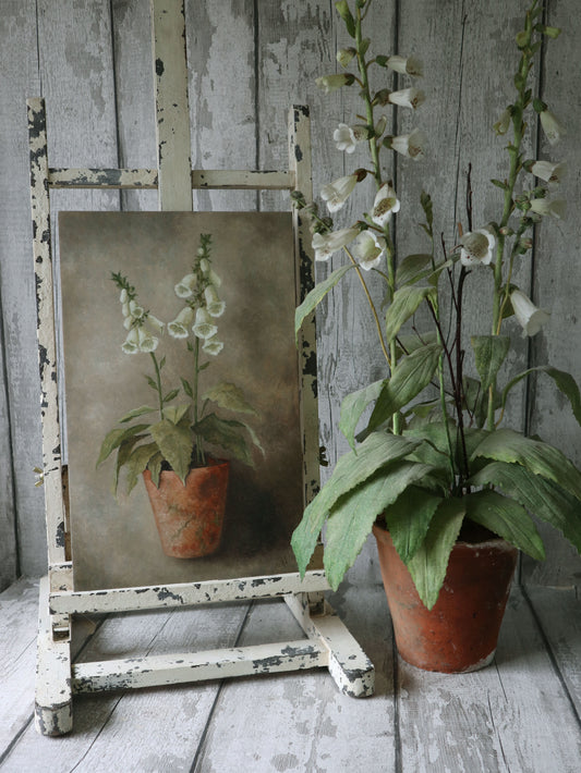 Original Oil Painting From the Potted Floral Collection 'Large White Foxglove'
