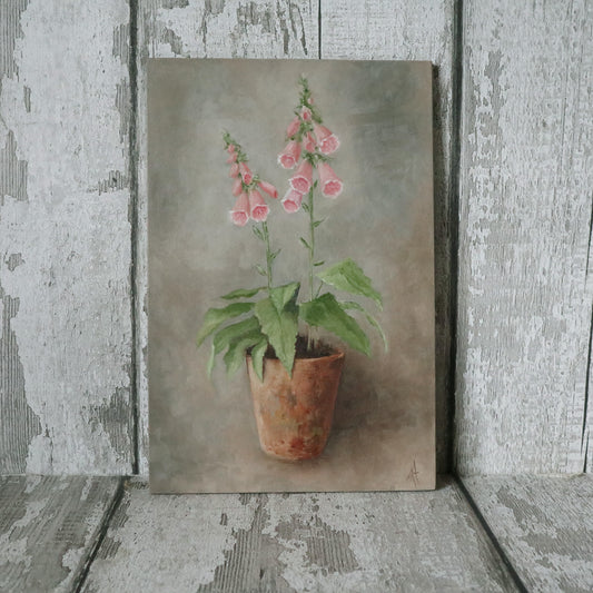 Original Oil Painting On Board From the Potted Floral Collection 'Mini PINK Foxglove'