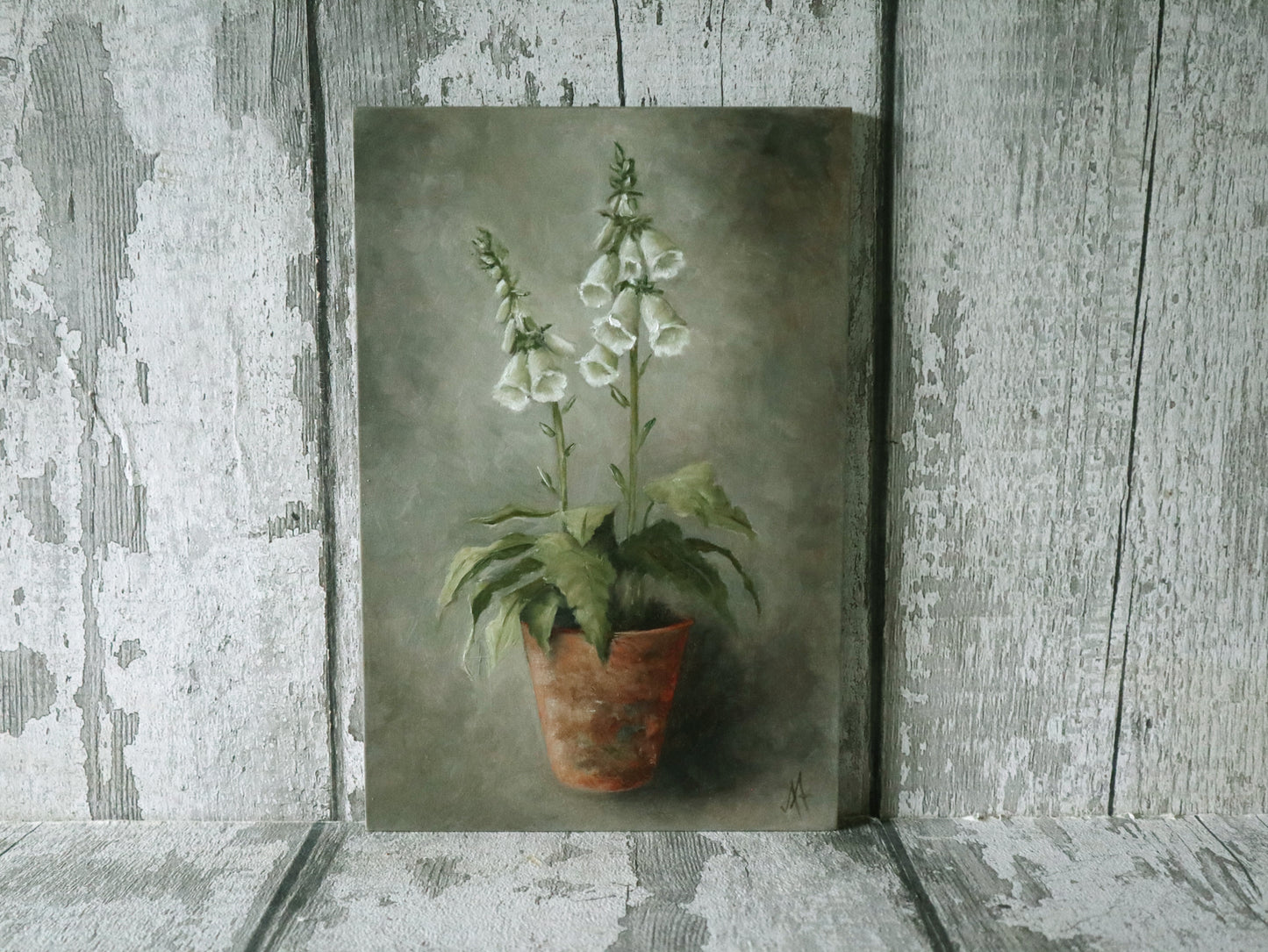 Original Oil Painting On Board From the Potted Floral Collection 'Mini WHITE Foxglove'