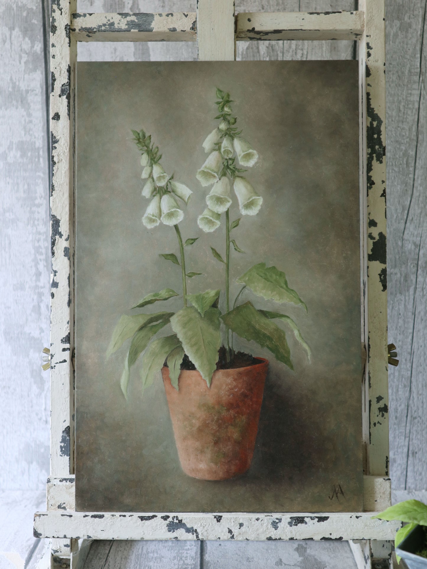 Original Oil Painting From the Potted Floral Collection 'Large White Foxglove'