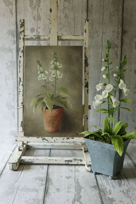 Original Oil Painting From the Potted Floral Collection 'Large White Foxglove'