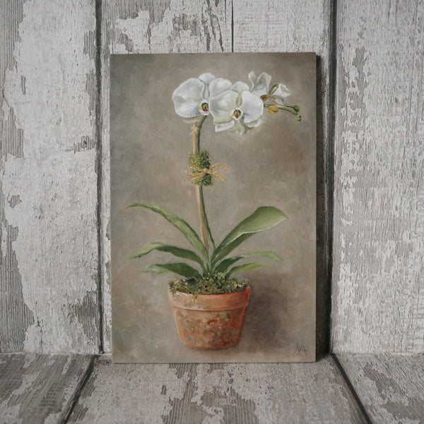 Original Oil Painting From The Potted Floral Collection 'Orchid' The