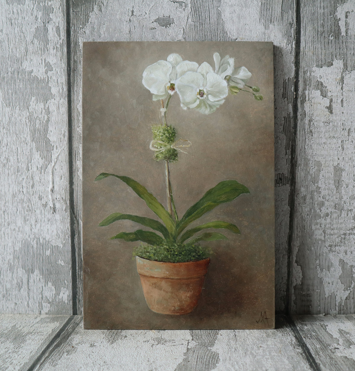 Original Oil Painting From The Potted Floral Collection 'Orchid'