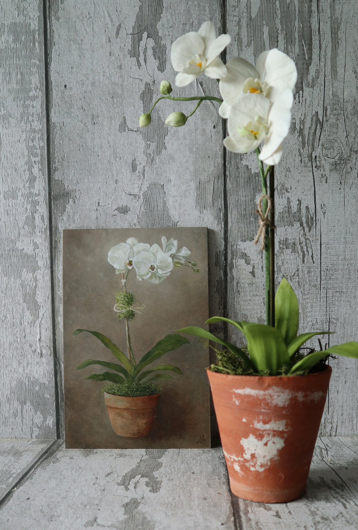 Original Oil Painting From The Potted Floral Collection 'Orchid'