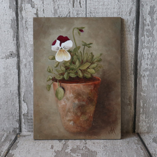 Original Oil Painting From The Potted Floral Collection 'Pansy'