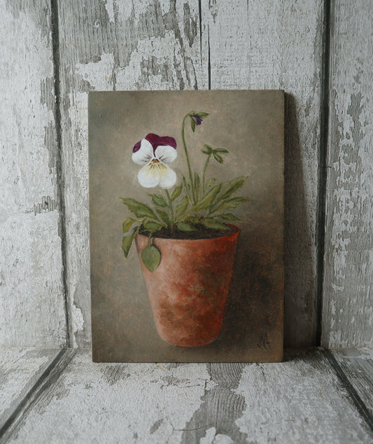 Original Oil Painting From The Potted Floral Collection 'Pansy'