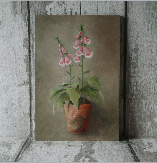 Original Oil Painting On Board From the Potted Floral Collection 'Mini PINK Foxglove'