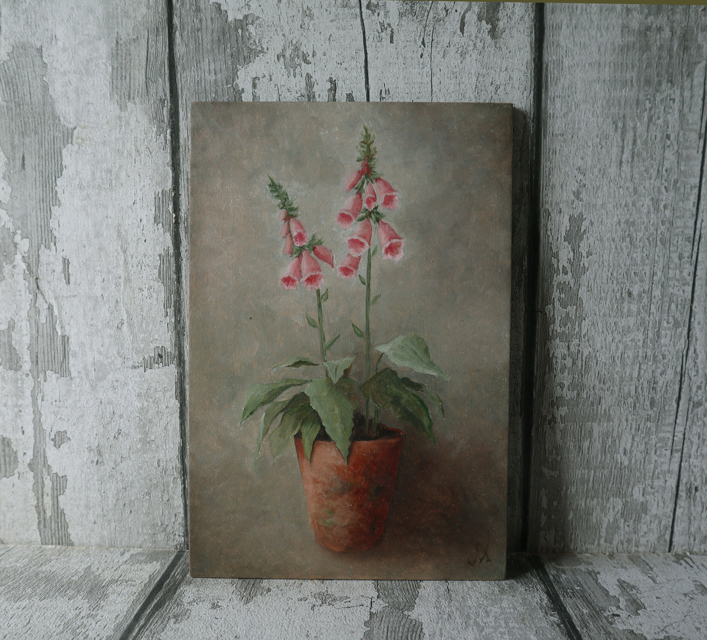 Original Oil Painting On Board From the Potted Floral Collection 'Mini PINK Foxglove'