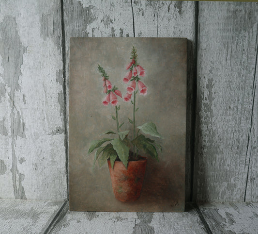 Original Oil Painting On Board From the Potted Floral Collection 'Mini PINK Foxglove'