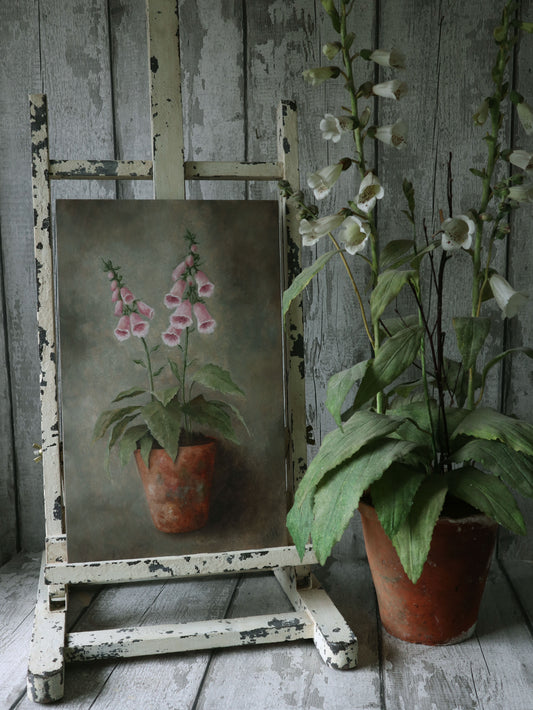 Original Oil Painting From the Potted Floral Collection 'Large Pink Foxglove'