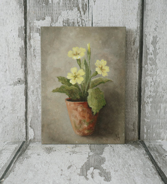 Original Oil Painting From The Potted Floral Collection ' Primroses'