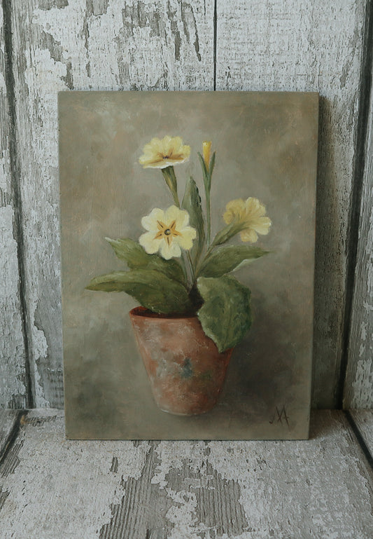 Original Oil Painting From The Potted Floral Collection ' Primroses'