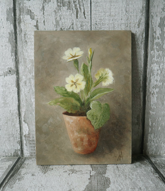 Original Oil Painting From The Potted Floral Collection ' Primroses'