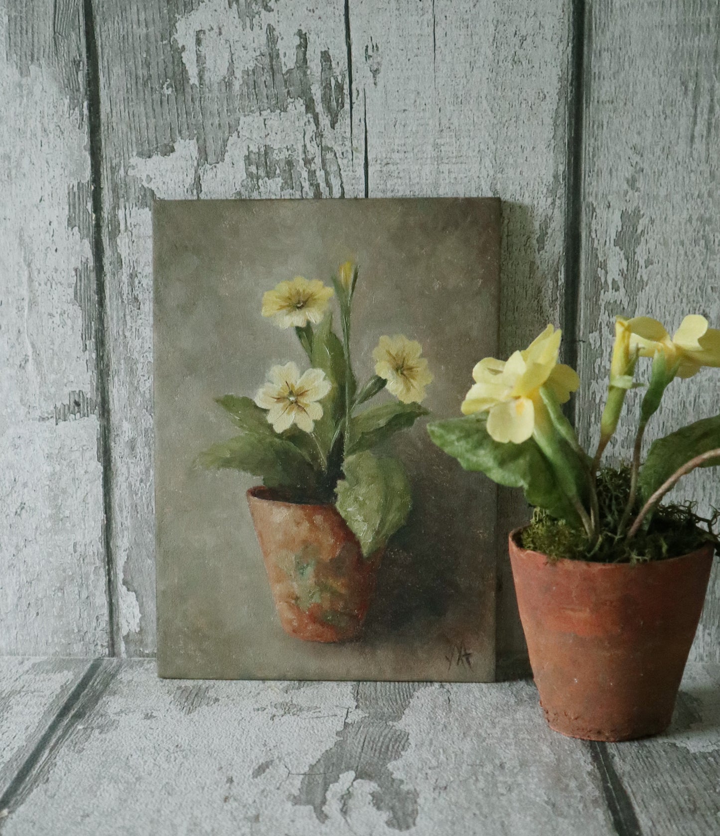 Original Oil Painting From The Potted Floral Collection ' Primroses'