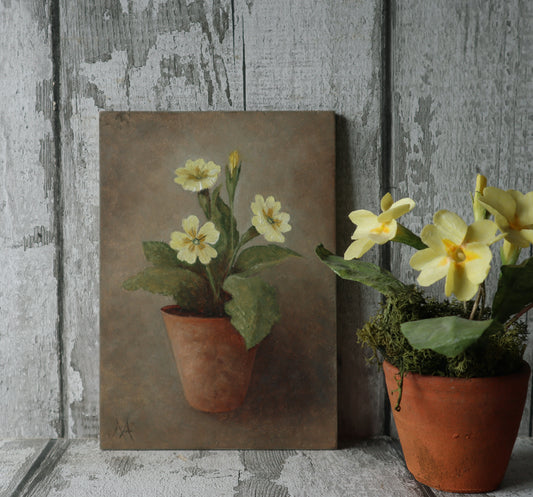 Original Oil Painting From The Potted Floral Collection ' Primroses'