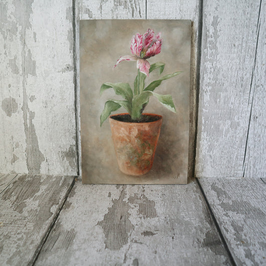 Original Oil Painting From The Potted Floral Collection 'Tulip'