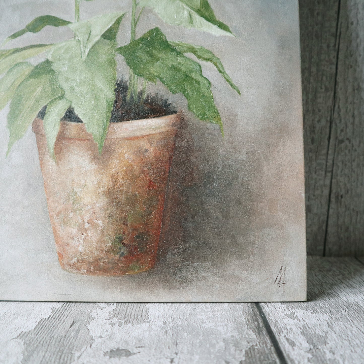 Original Oil Painting From the Potted Floral Collection 'Large White Foxglove'