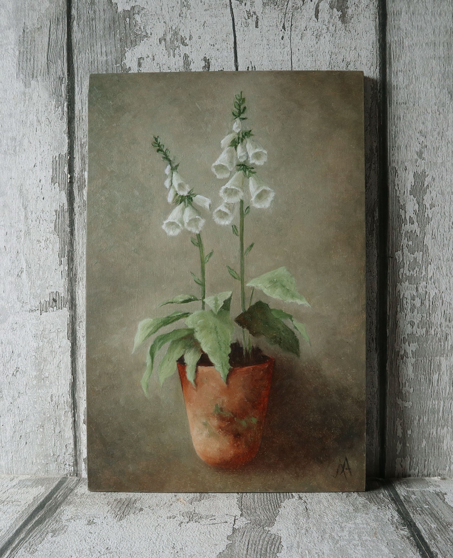 Original Oil Painting On Board From the Potted Floral Collection 'Mini WHITE Foxglove'