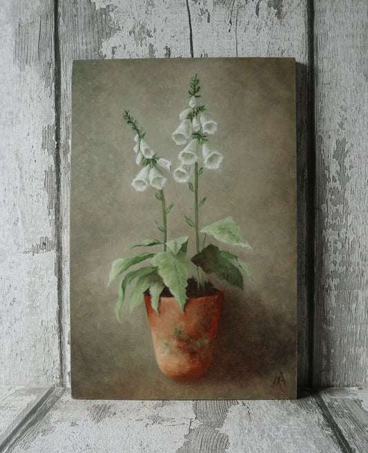 Original Oil Painting On Board From the Potted Floral Collection 'Mini WHITE Foxglove'