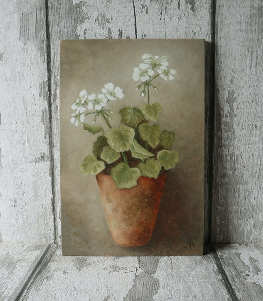 Original Oil Painting From The Potted Floral Collection 'White Geranium'