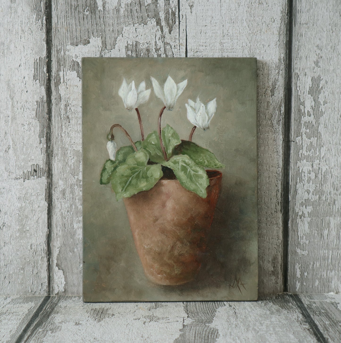 Original Oil Painting From The Potted Floral Collection White 'Cyclamen'