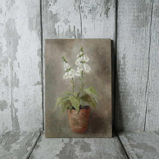 Original Oil Painting On Board From the Potted Floral Collection 'Mini WHITE Foxglove'