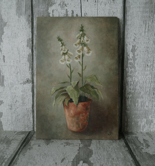 Original Oil Painting On Board From the Potted Floral Collection 'Mini WHITE Foxglove'