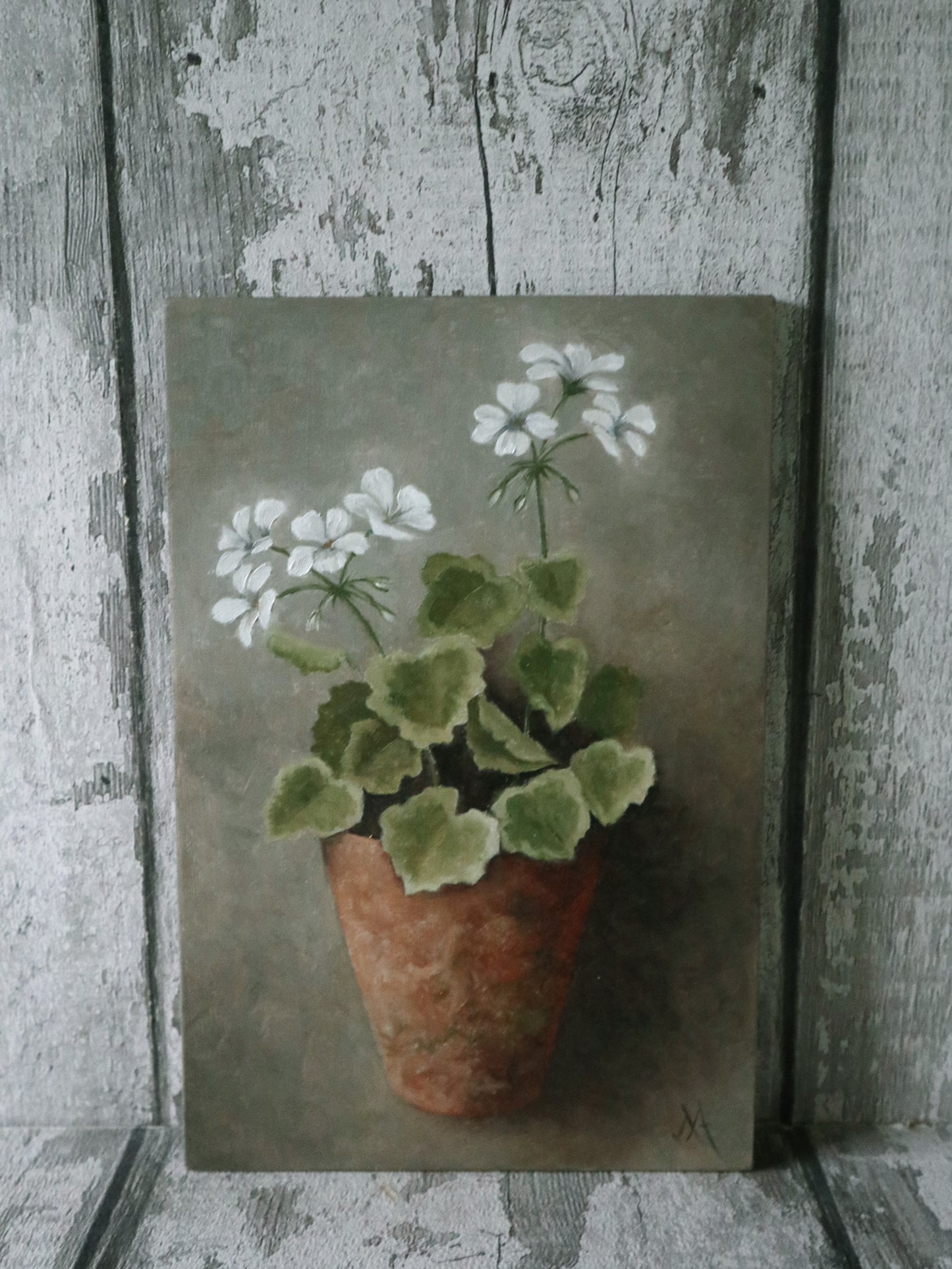 Original Oil Painting From The Potted Floral Collection 'White Geranium'