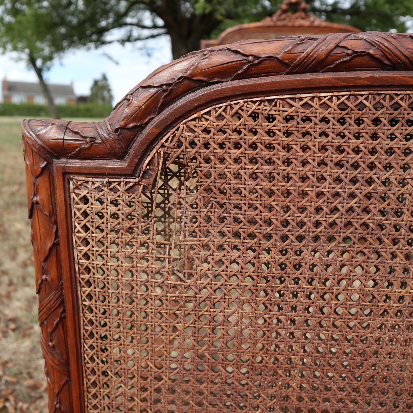 Rare Pair of Vintage French Bergere Carved Wood Single Beds